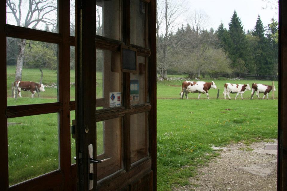 Auberge De La Perdrix Hauterive-la-Fresse Dış mekan fotoğraf